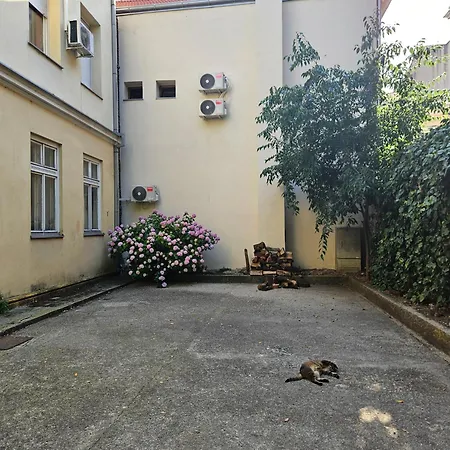 Old Town Daire *
